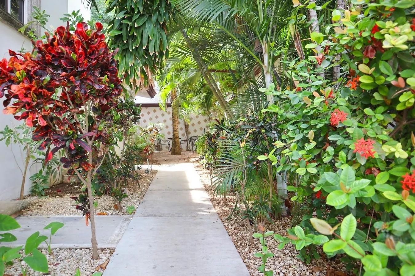 Ideal Spot Close To The Beach Playa del Carmen 0*,