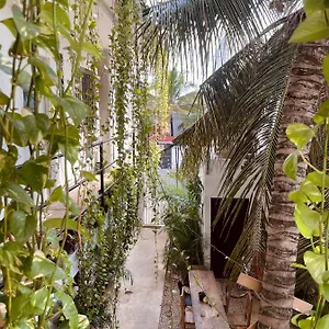 Anana Coliving Gasthof